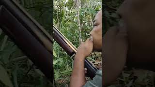 Download lagu proses manggil tupai dengan media plastik atau kresek #shortvideo #videoshort mp3