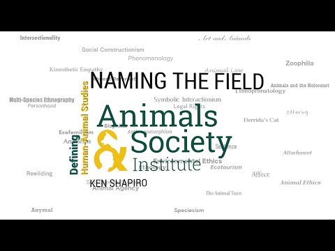 Defining the Field of Human-Animal Studies with Ken Shapiro - ASI's Defining Human-Animal Studies 01