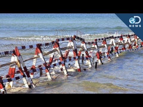 應該把海洋封鎖來救魚嗎？ (Should We Close The Ocean To Save Fish?)