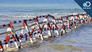 Should We Close The Ocean To Save Fish?