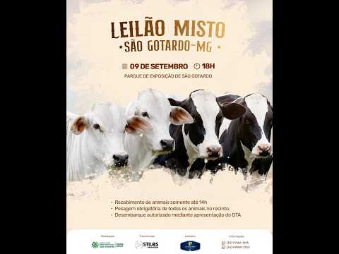 LEILÃO MISTO 09/09/2026 - SINDICATO RURAL DE SÃO GOTARDO-MG