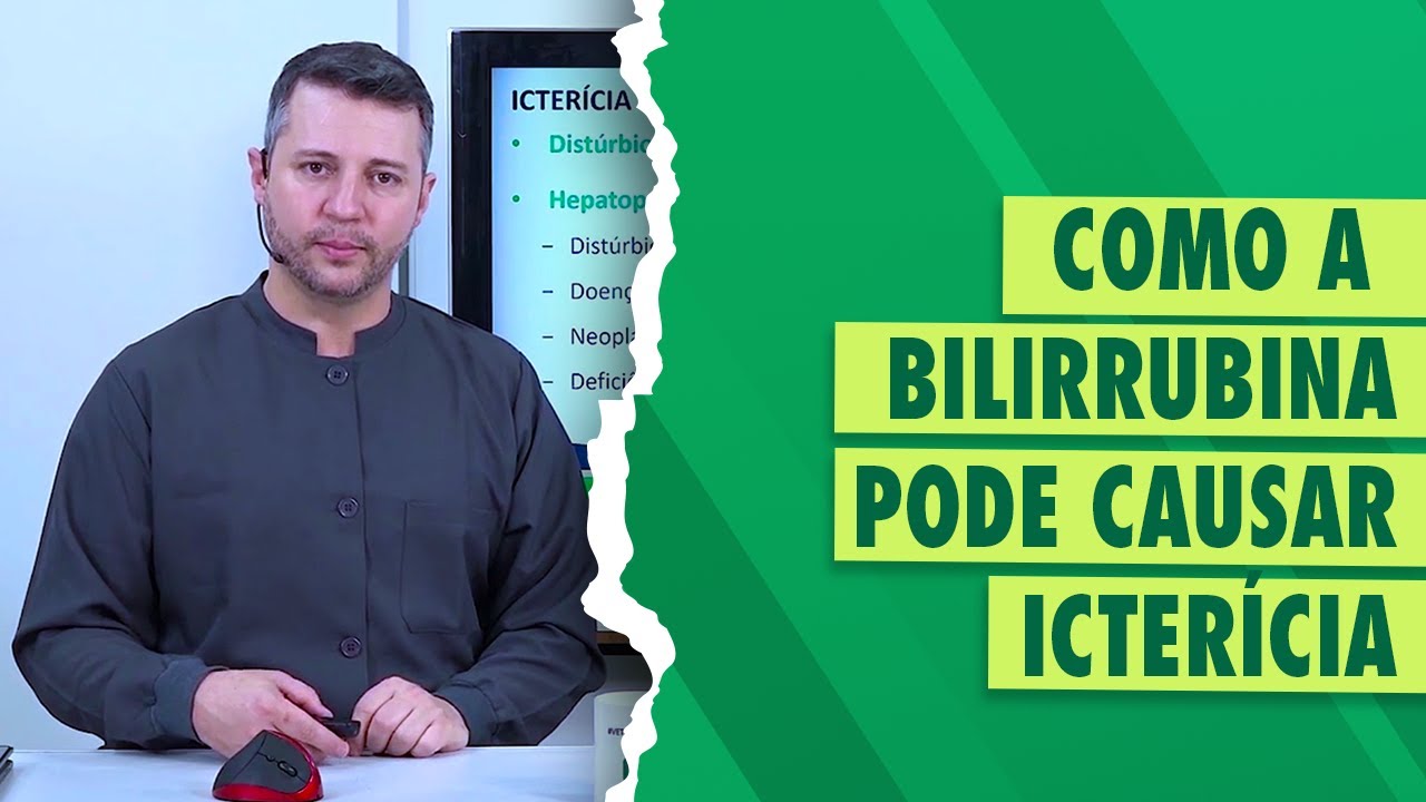 Patologia Veterinária: como ocorre a icterícia