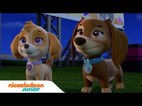 PAW Patrol : La Pat' Patrouille | Les meilleurs moments de la saison 9 (Partie 1) | Nickelodeon Jr.