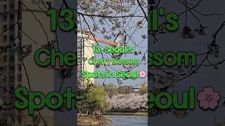 Thumbnail for Top 6 Cherry Blossom Spots in Seoul