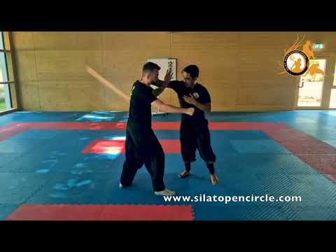 SILAT OPEN CIRCLE : SBL Seminar Stuttgart, Germany 6th & 7th Sept 2025