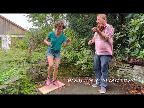 Chicken Reel - Miss Moonshine’s Buckdance Poultry in Motion - Burghard Bock, Fiddle - Banjoree DE