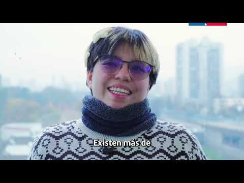 Miniatura del video 2