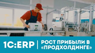 «1С-Рарус» внедрил 1С:ERP в Торговом доме «Продхолдинг»