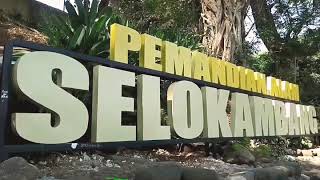 preview picture of video 'PEMANDIAN ALAM SELOKAMBANG LUMAJANG'