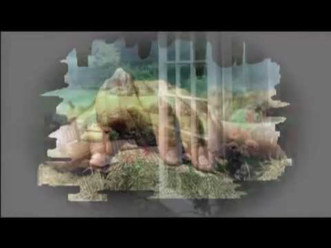 POEZJA Bliscy i oddaleni ♥🌹♥♫ Jan Twardowski