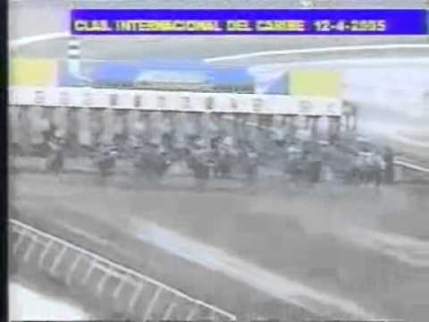 Clasicos del Caribe DOMINICANOS OLIVER D-EXCELENCIA-SICOTICO