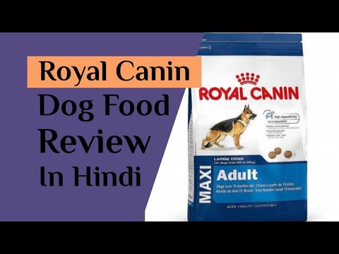 Royal canin dog food