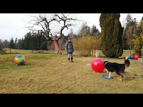 WTWL Match#7 Level A Sandrine & Hanaka