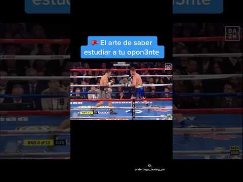 El arte de saber estudiar a tu oponente: Canelo vs Golovkin 🥊 #shorts #canelo #golovkin #boxeo