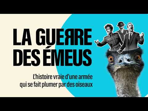 LA GUEЯRE DES ÉMEUS - Festival OFF Avignon 2026 - La Factory - Salle Tomasi - Bande Annonce