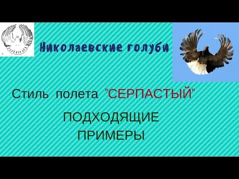 Никлоевские голуби пример СЕРПАСТЫЙ полёт