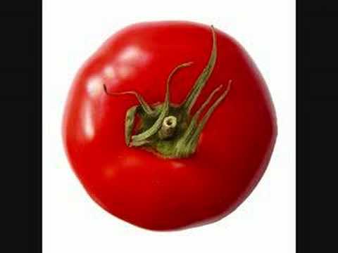 , title : 'dj jan - tomatenplukkers'