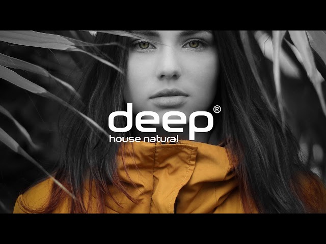 Fanis Stam - Guitar Spirit (Original Mix)