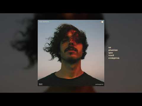 As Plantas Que Você Comprou - Rafa Martins