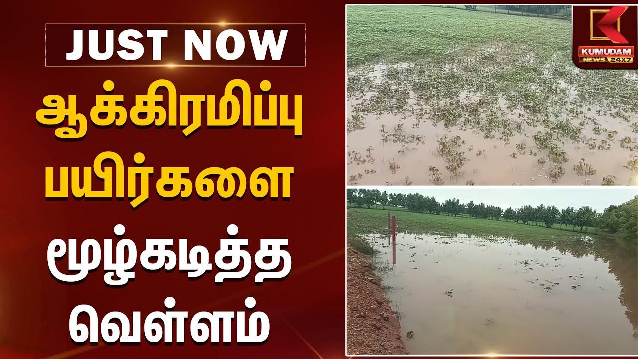 ஆக்கிரமிப்பு - பயிர்களை மூழ்கடித்த வெள்ளம் | Kallakurichi | TN Rains | Kumudam News