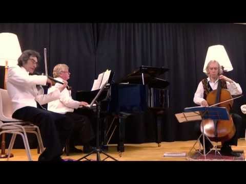 The Pachelbel Canon (with the Blue Mountains Trio)
