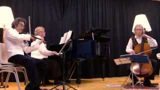 The Pachelbel Canon (with the Blue Mountains Trio)