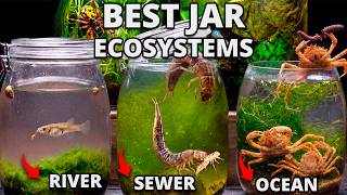 I Put Rivers, Sewer and Ocean in Jars, Months Later THIS Appeared (Top 2026)