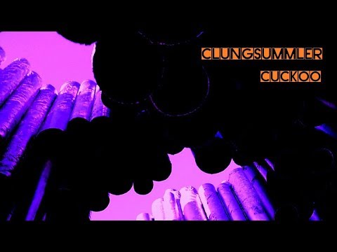 Techno Progressive / CLUNGSUMMLER - Cuckoo (Upgraded Video)