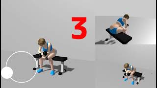 Concentration Curl, App for Muscle Training
