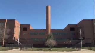New Dorp High School