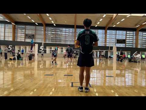 SVL D2: SNV vs Illawara