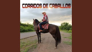 Estrategia De Escape