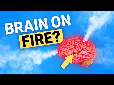 Why You’re Having Fever Dreams