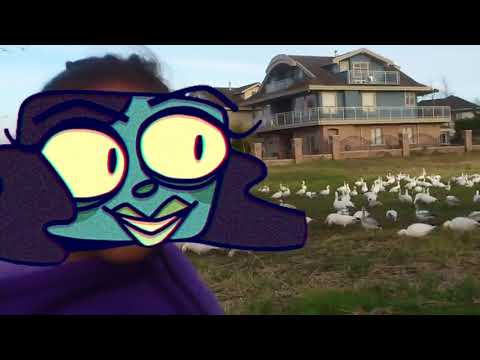 It's Smile For Me Vine Time