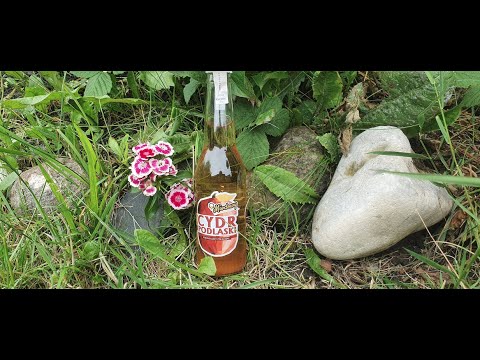 Kings of Mead ep.132 - Czy to cydr, czy to  miod pitny? Degustacja