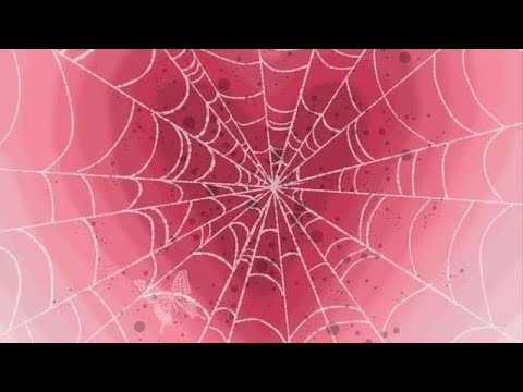 Was Besseres Ayliva X Mudi speed up