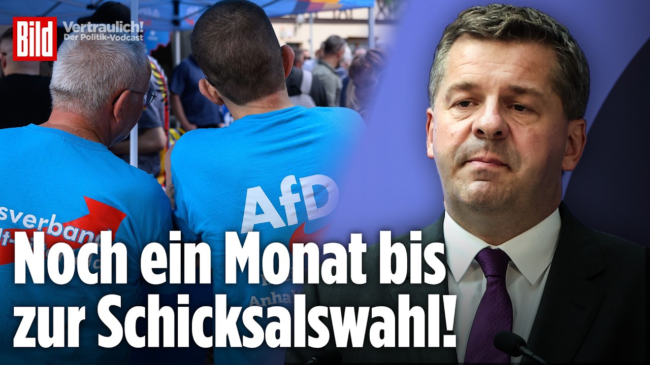 Landtagswahl in Sachsen-Anhalt: DAS würde eine AfD-Regierung bedeuten | Vertraulich
