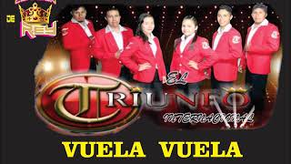 VUELA VUELA CANTA GRUPO EL TRIUNFO INTERNACIONAL DE TIERRA CALIENTE