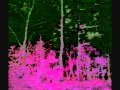 Mazzy Star ~ Mary of Silence
