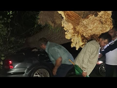 Bartın'da fırtına; ağaçlar devrildi, araçlar zarar gördü