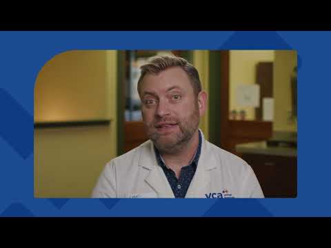 Do all ticks transmit Lyme disease?