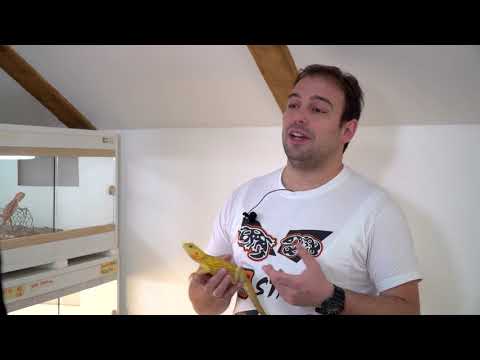 Moj savršeni ljubimac ep. 91 15.03.2021. Bradata agama