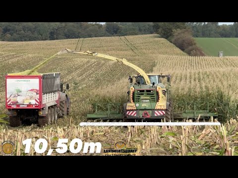 Mit 10,50m durch den Mais! LU Hamester bei der Maisernte mit 1156PS Krone 1180 Maishäcksler Mais