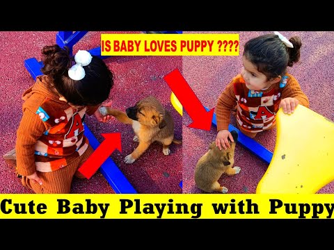 Cute Baby Playing with Puppy | Dog Handshake | Cute Puppies | China vlog |  Baby loves puppies |  上海