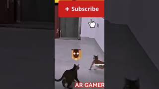 Download lagu https://youtube.com/shorts/zLtDDgK4084?si=kAD0ekt2m2hykXK4😭 mp3