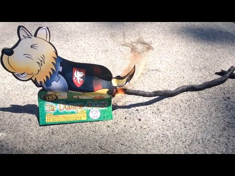 TDW 1098 - SIR DUMPS A LOT ! Best or Worst Firework Ever ?!