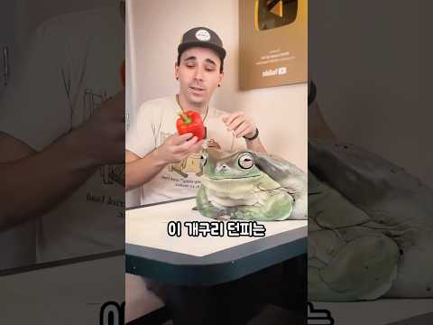 이 거대한 개구리는 훌륭한 애완 동물이 될 것입니다