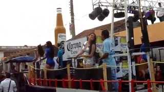 preview picture of video 'Carnaval Cosamaloapan 2014...'