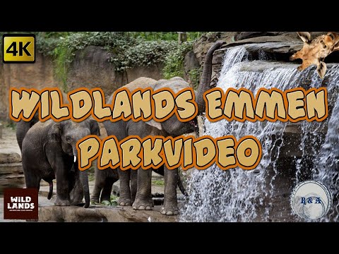 WILDLANDS Adventure Zoo Emmen Parkvideo 4K