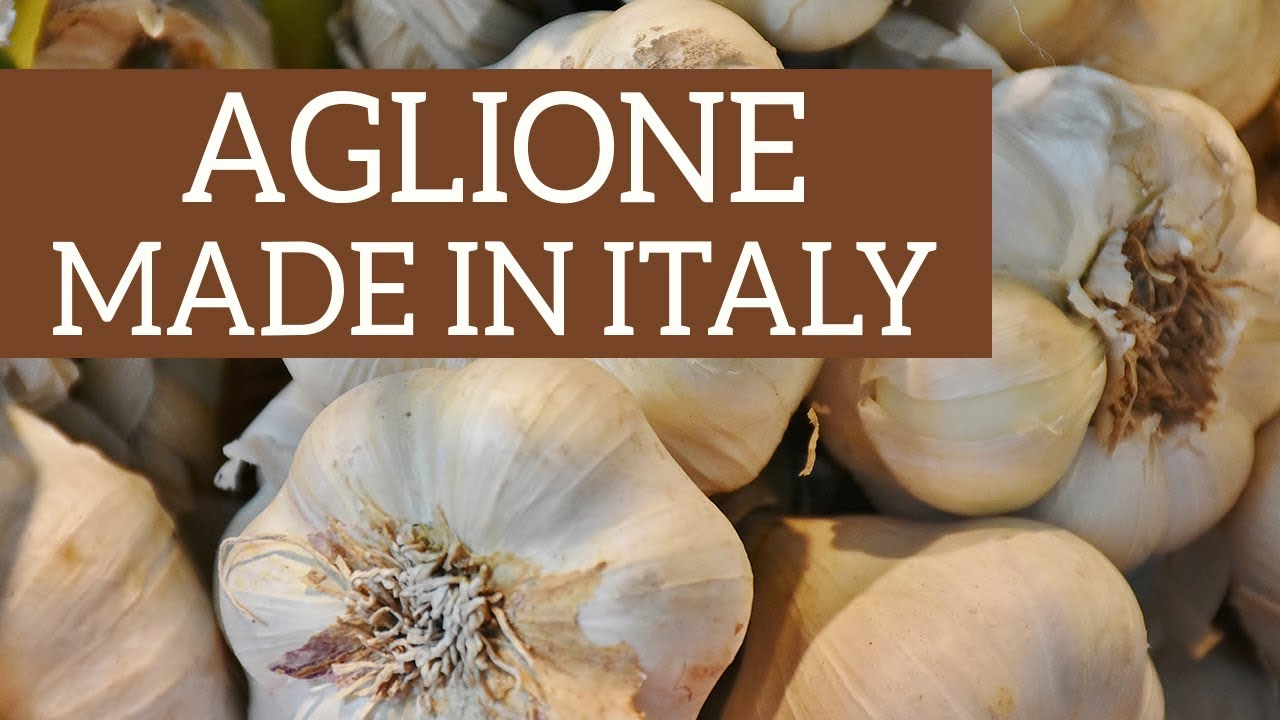 Watch Now Aglione, come prendersi cura di un tesoro toscano! Aglione, come prendersi cura di un tesoro toscano!